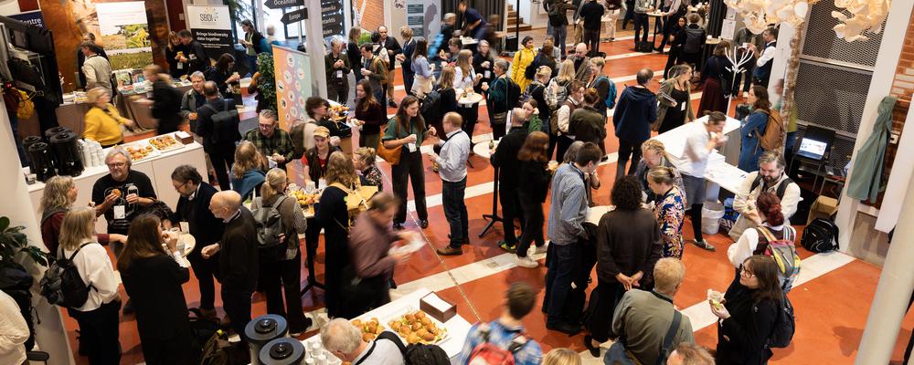 Folk minglar på Swedish Biodiversity Symposium