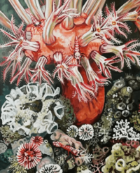 Meghan Jones, Mushroom Coral